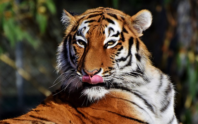 Proč ZOO a co nabízejí